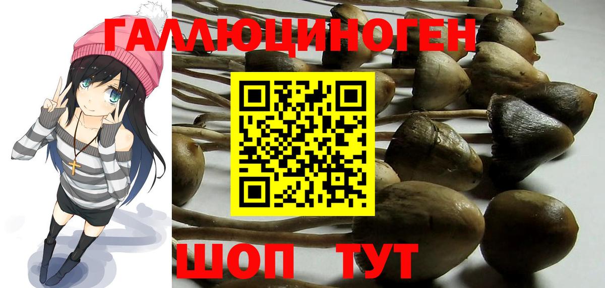 Гуково  где купить наркотик  Вход с VPN  Галлюциногенные грибы мицелий 